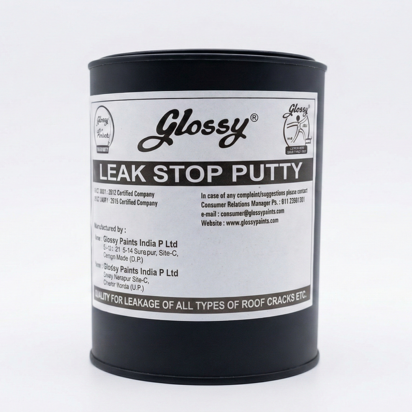 1001 Glossy Leak Stop Putty