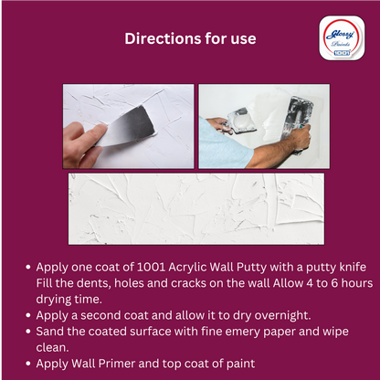 1001 Acrylic Wall Putty
