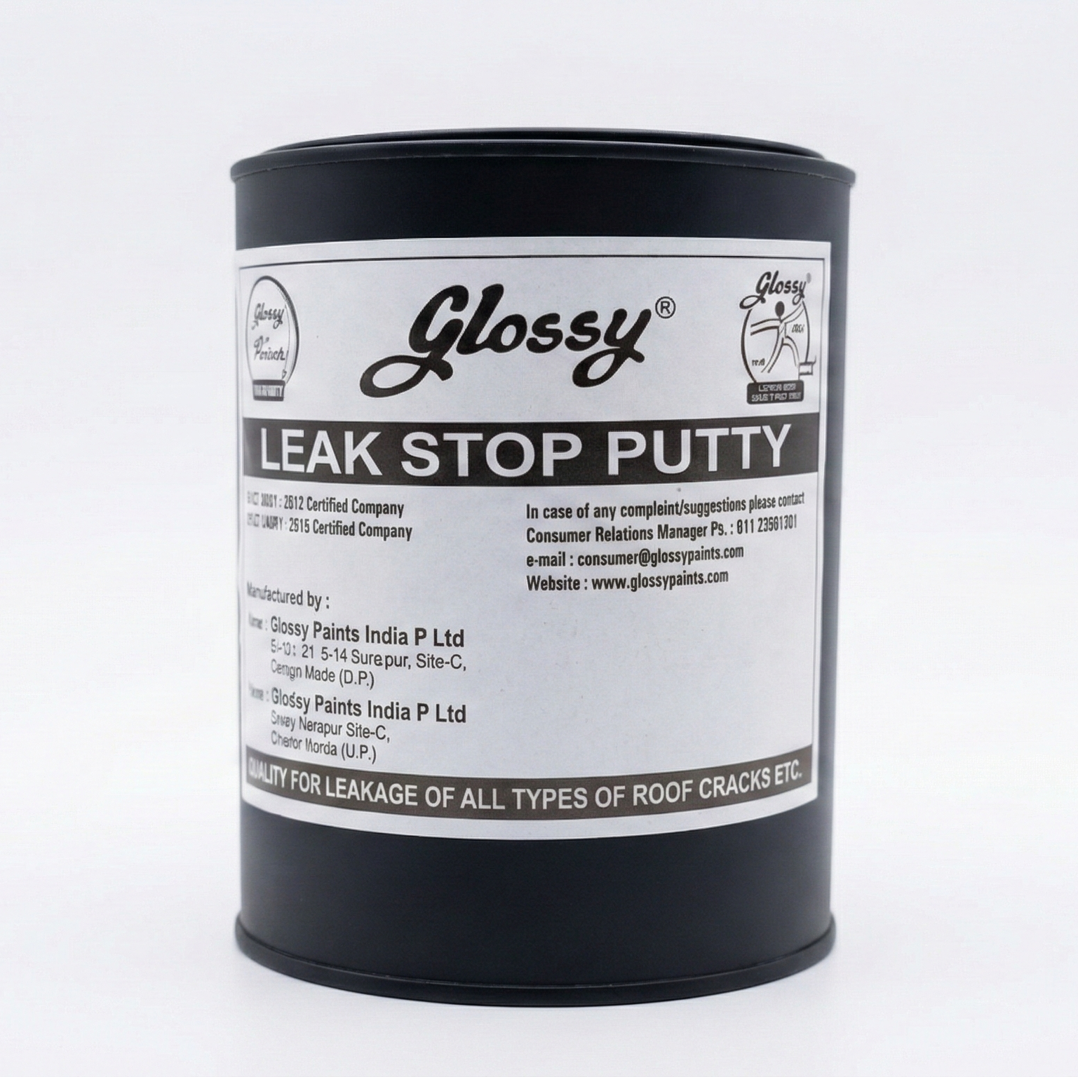 1001 Glossy Leak Stop Putty