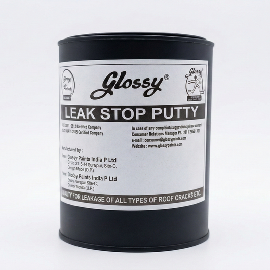 1001 Glossy Leak Stop Putty